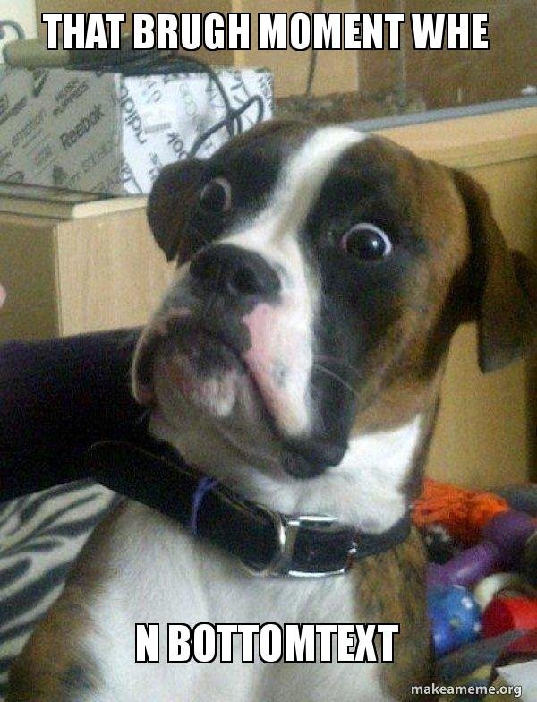 dog memes