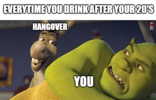 shrek memes