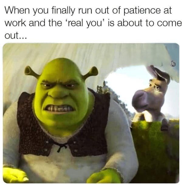 shrek