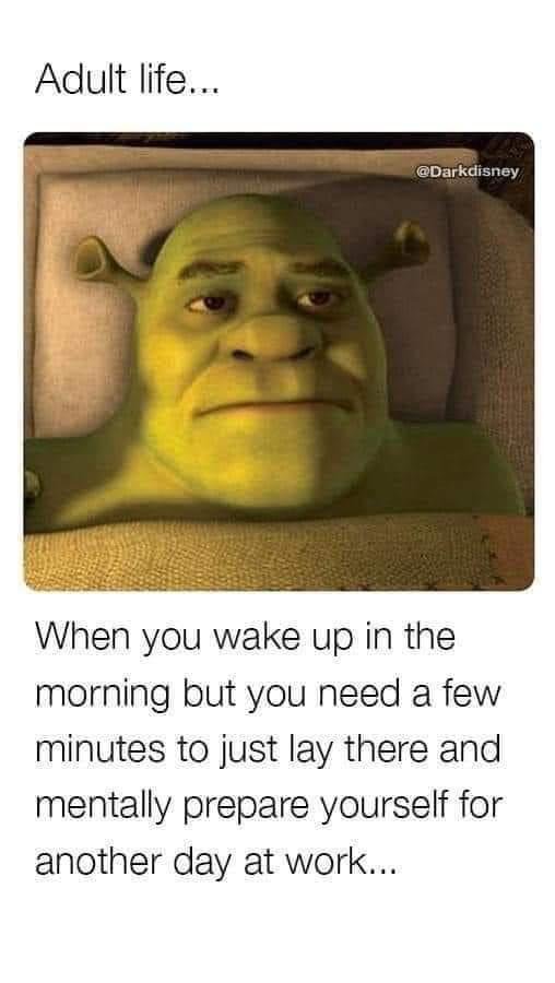 shrek memes