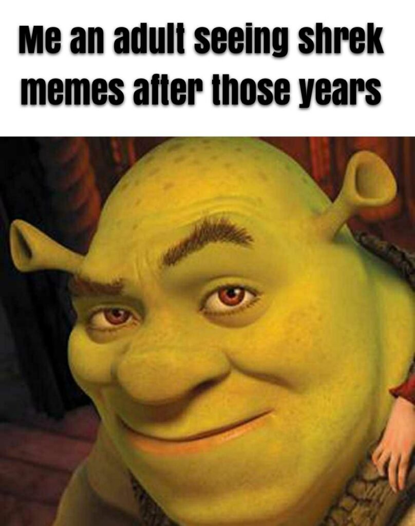 shrek memes