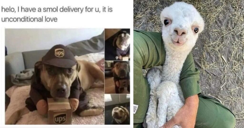 Happy Memes