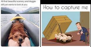 Happy Memes