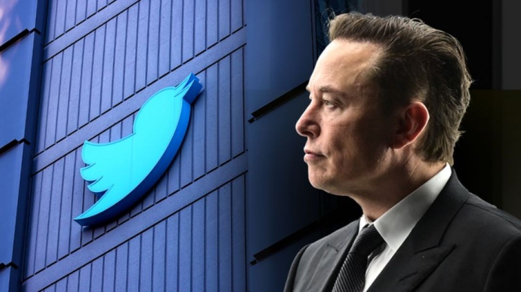 Elon Musk Buys Twitter Meme Video Download