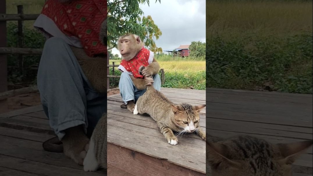 ⁣Vira Video SokYaa, OG, Pao & Mom Are Famous Meme Template Downloads